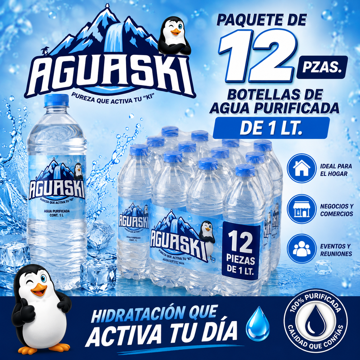 Promoción paquete 12 botellas de 1 litro
