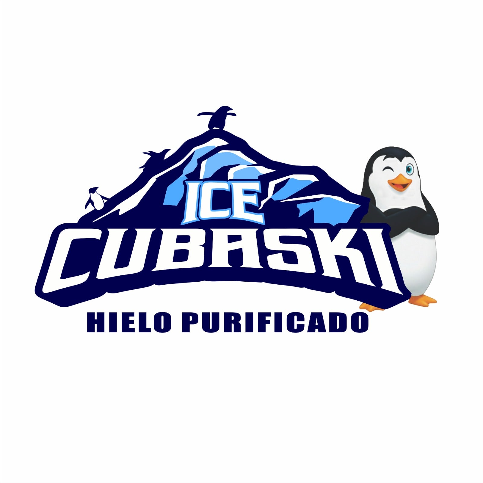 Logo ICE CUBASKI